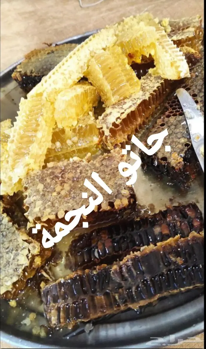 عسل نحل لأهل الخبرة 0