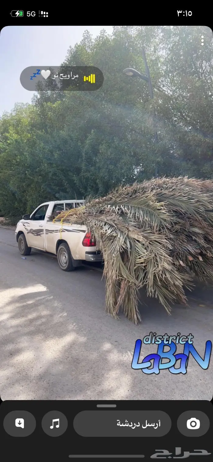 سعف للمخيمات 1