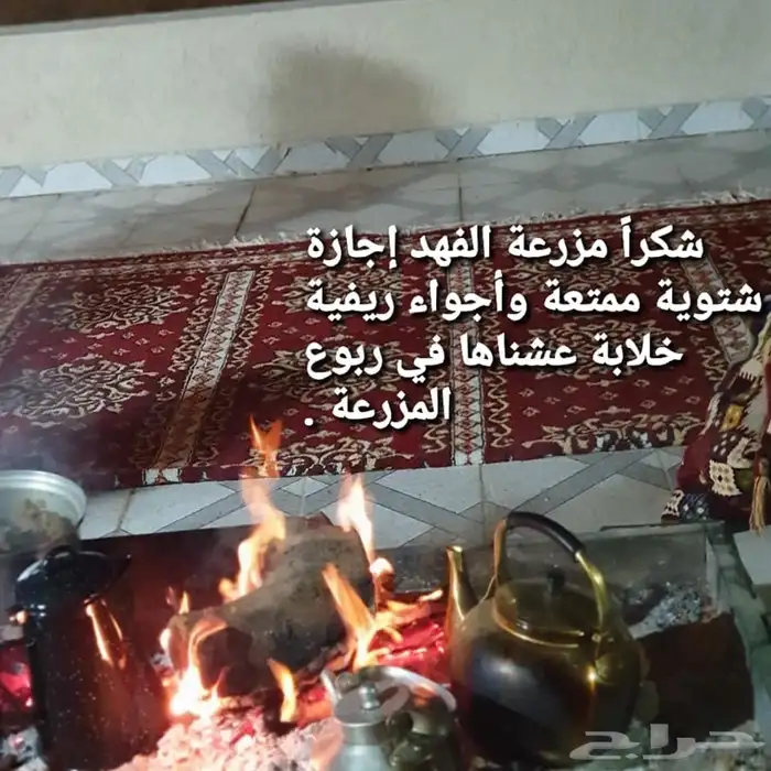 مزرعة الفهد للايجار اليومي 8