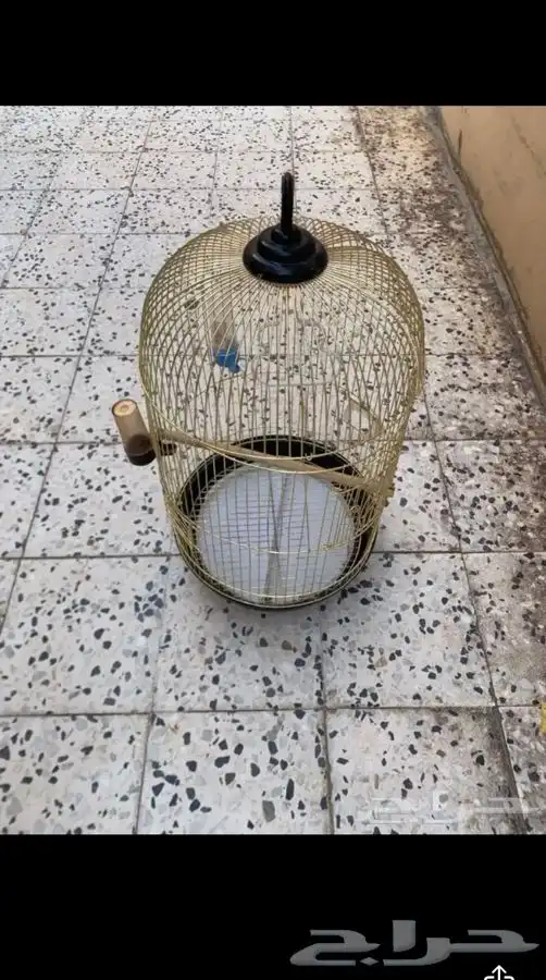 اقفاص 0