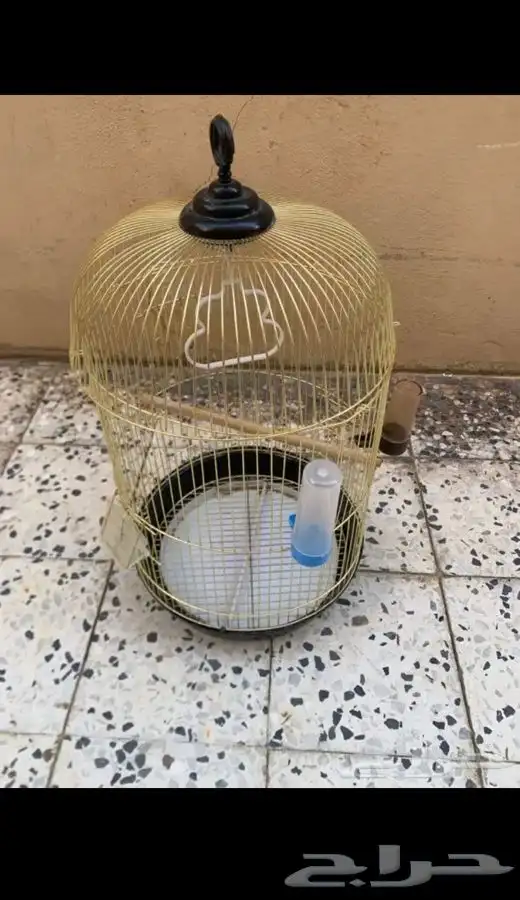 اقفاص 1