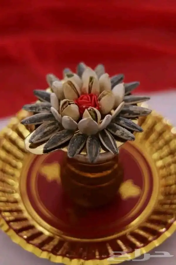 توزيعات مواليد 28