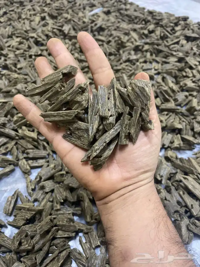عود طبيعي محسن كلمنتان العسبل فاخر جدا خاص فينا فقط 6