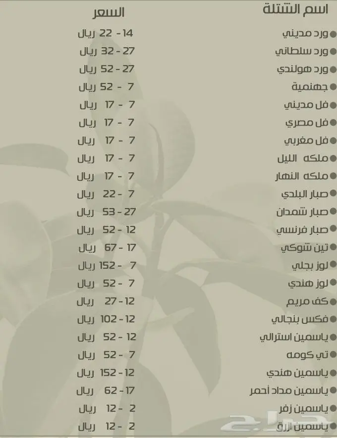 عشب طبيعي وظلات جلسات خارجية 5