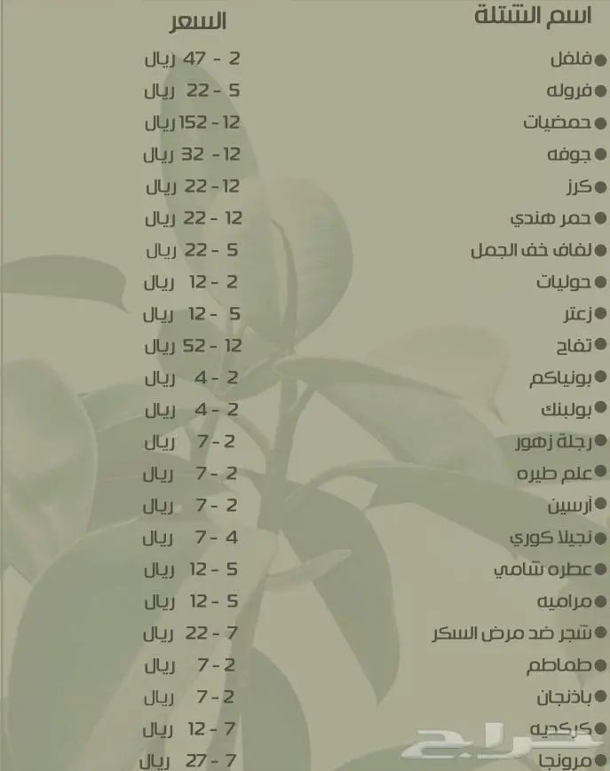 عشب طبيعي وظلات جلسات خارجية 4