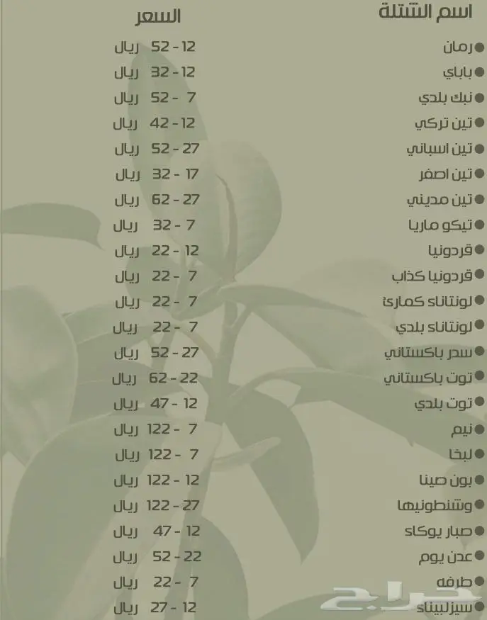 عشب طبيعي وظلات جلسات خارجية 6