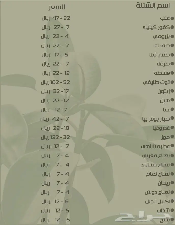 عشب طبيعي وظلات جلسات خارجية 2