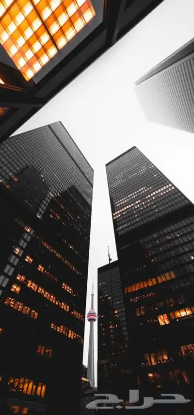 إدارة أعمال تجاريه. بكل دقه وإنجاز . نسبه مغريه 0