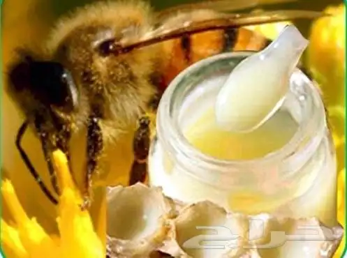 العذاء الملكي غذاء ملكات النحل 365 كبسولة 4