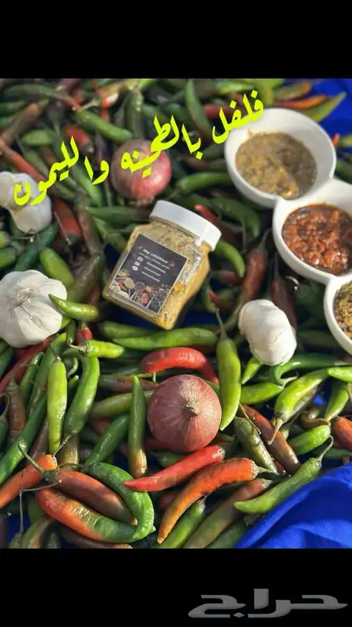 م راح تندمو تابعوني 2