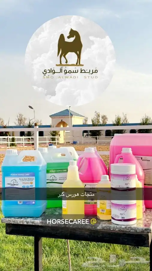 اكاديمية مربط سمو الوادي 0