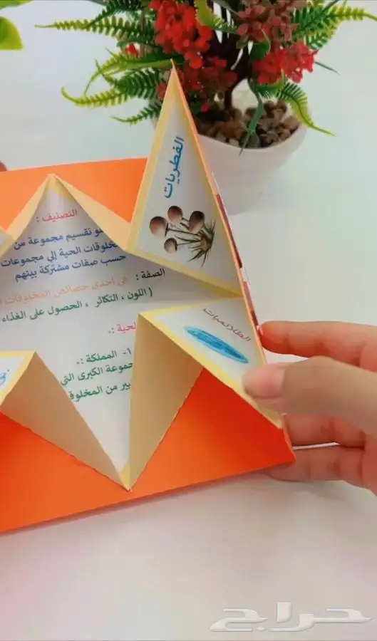 مطويات مدرسيه 4