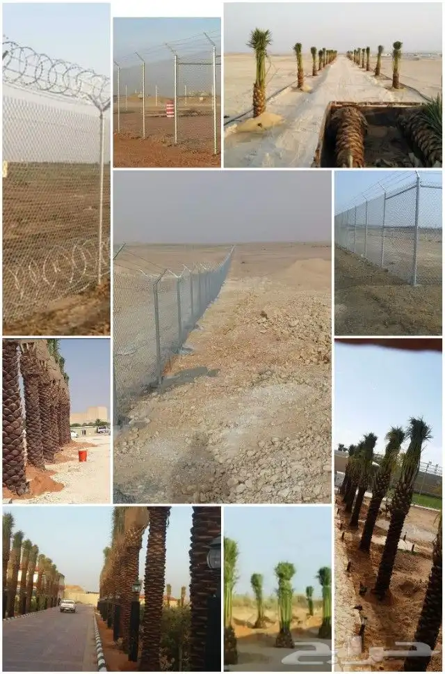 مقاول شبوك ونخيل 9