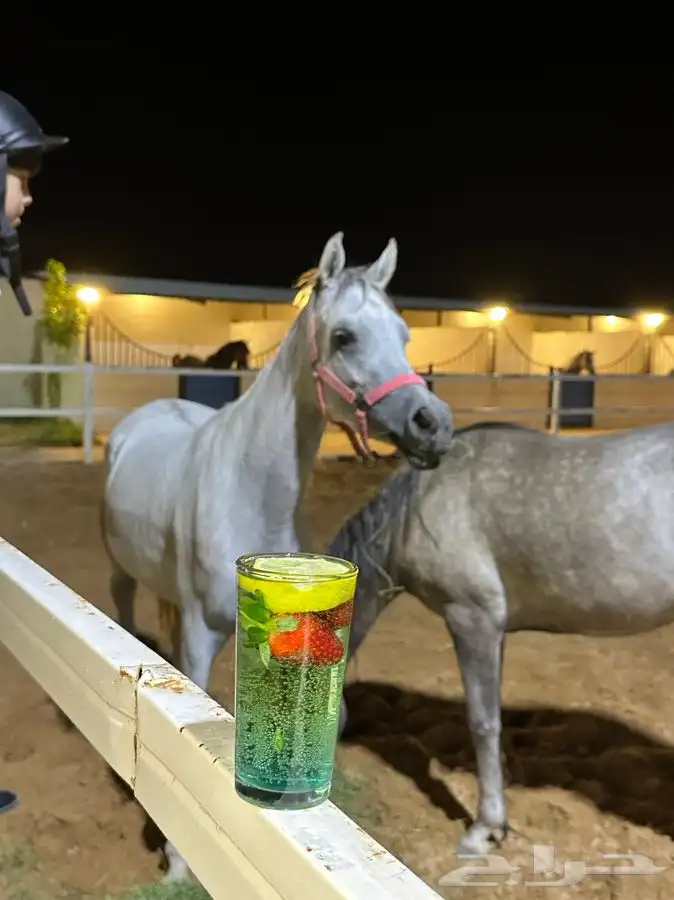 اكاديمية مربط سمو الوادي 6
