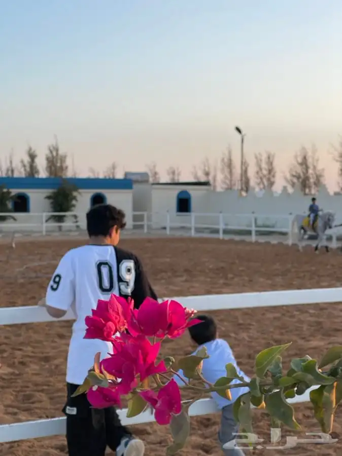 اكاديمية مربط سمو الوادي 17
