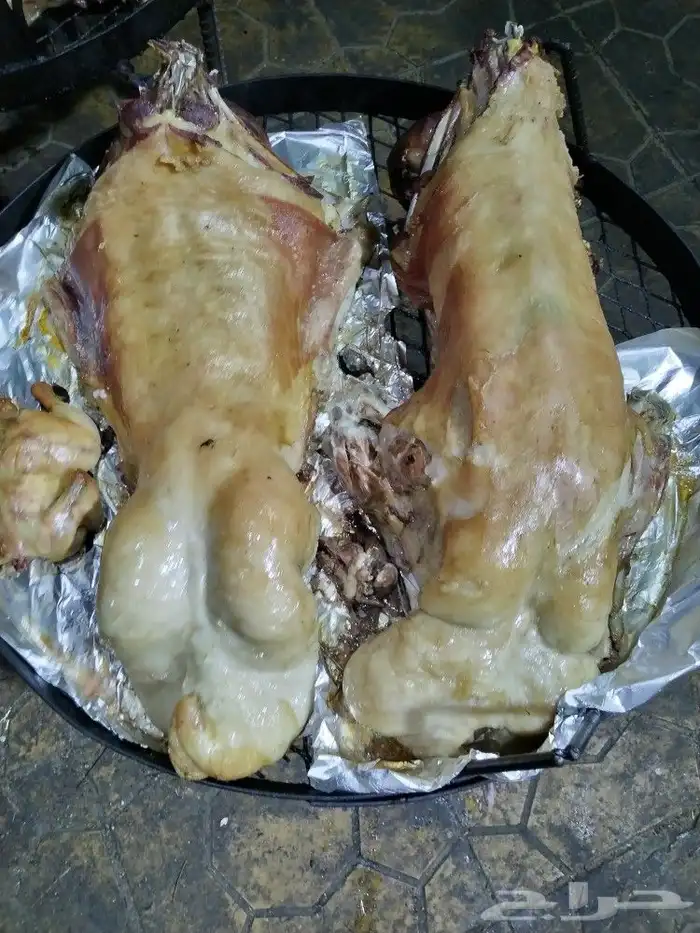 طبخ ولائم ( زواج. خطوبة. تخرج. اي مناسبة ) 5