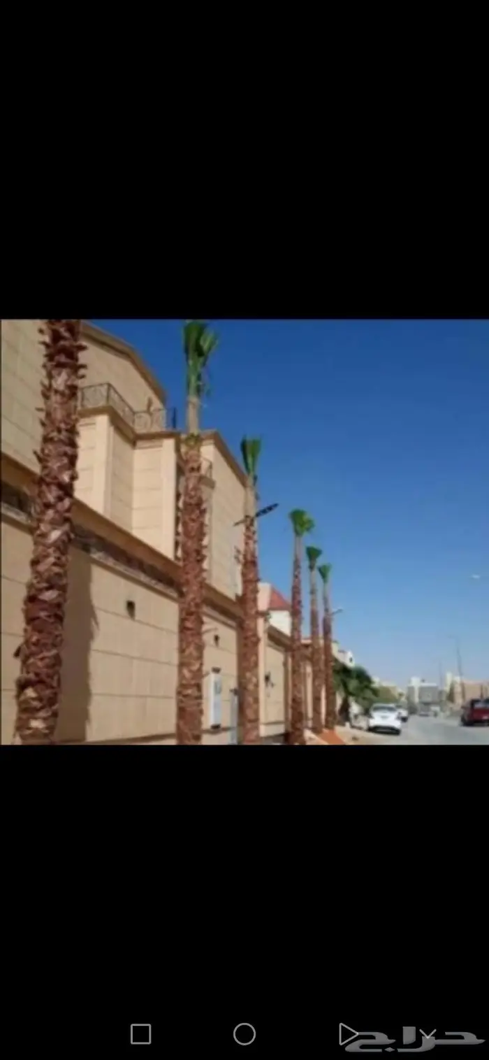 تسوير المزارع والأراضي وتوريد وزراعة النخيل 6