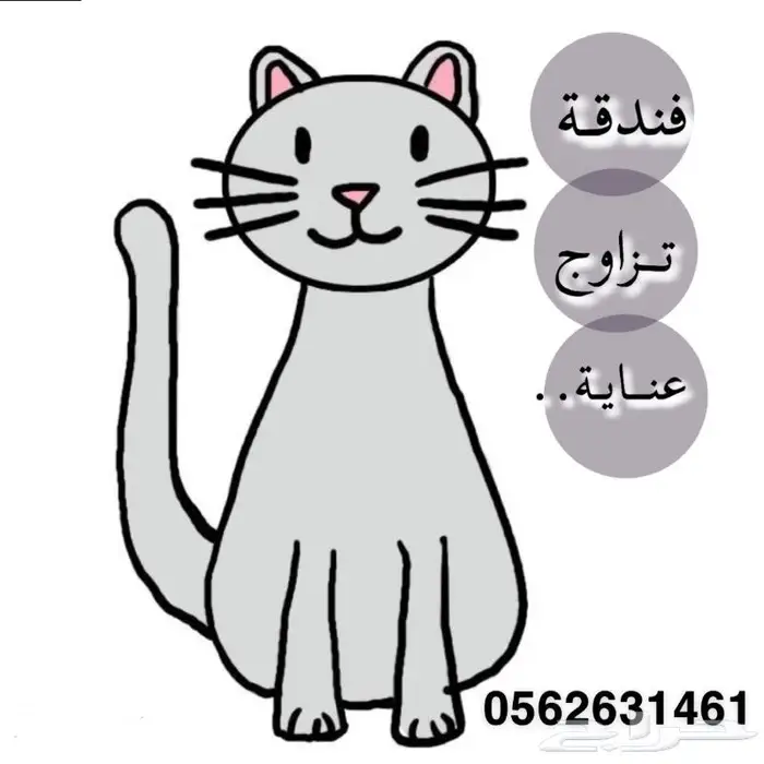 فندقة قطط اليفك عندنا 0