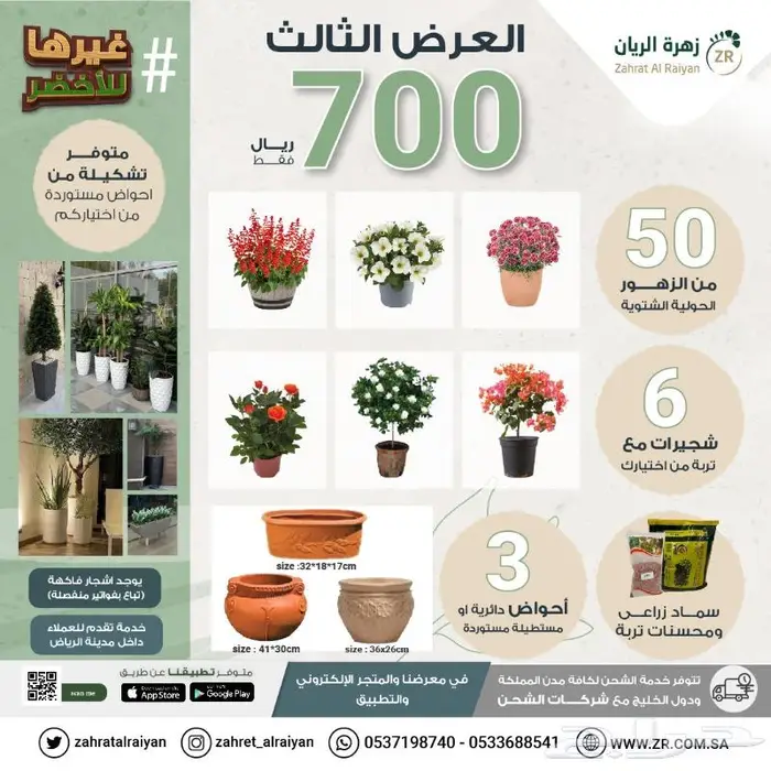 نباتات طبيعية منزلية 1