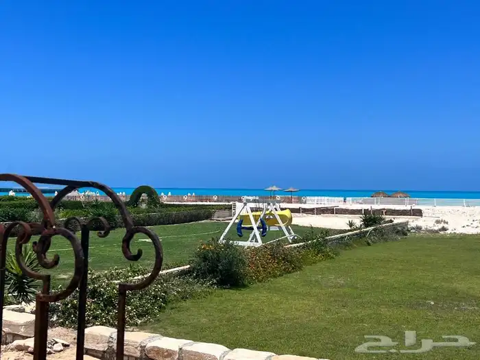 جميع الخدمات السياحة في مصر (تحت ادارة سعودية  ) 16