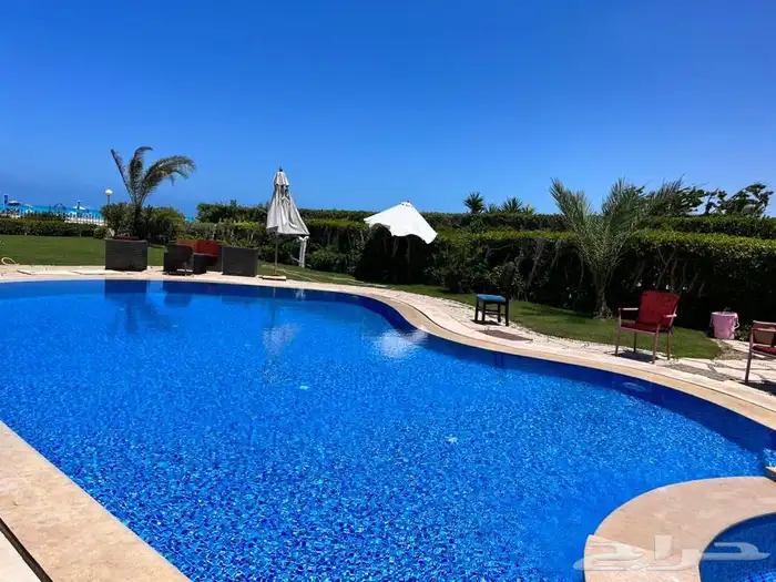 جميع الخدمات السياحة في مصر (تحت ادارة سعودية  ) 15