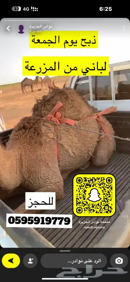 ملحمة نوادر الجزيرة للحوم الطازجة 33