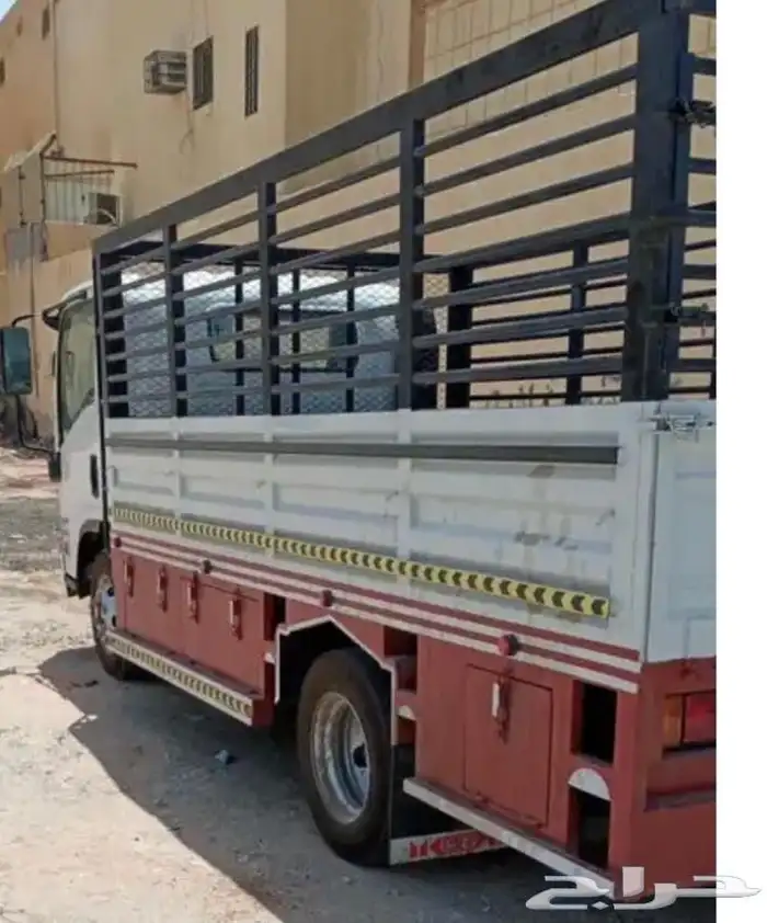 دينا نقل جميع مناطق المملكة 2