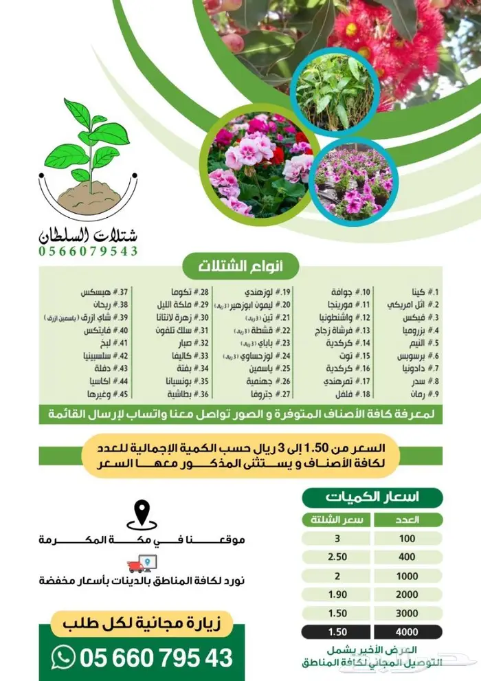 شتلات مثمرة واشجار بأسعار الجملة لأهالي العلا 1