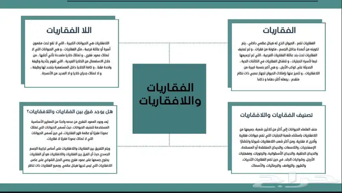 تصميم خرائط ذهنية 11