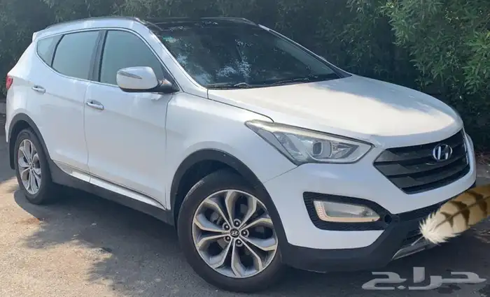 لعشاق النظيف سنتافيه تم البيع تم البيع 11