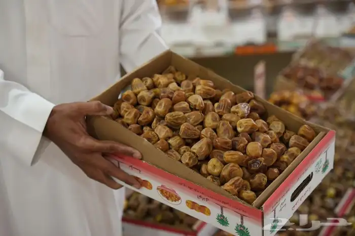 مصور درون وتصوير فيديو احترافي ومونتاج حياكم الله بسعر خاص 7