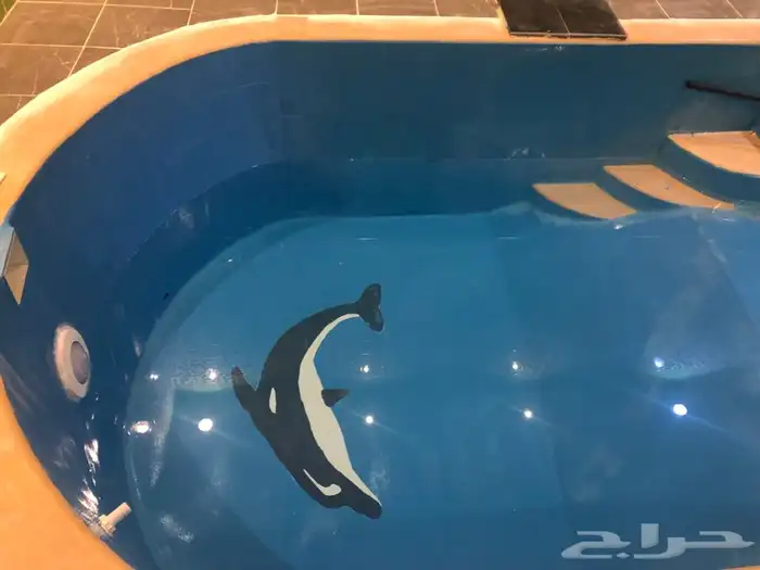 صيانه لمسابح فيبر 4