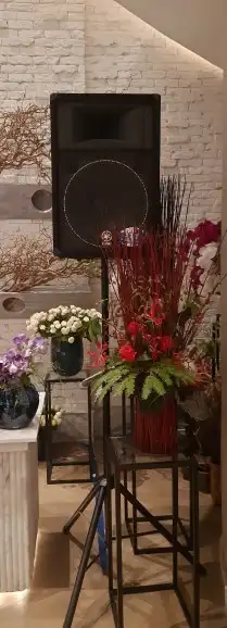 تاجير سماعات للافراح والمناسبات 8