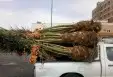 تخيل للبيع 9