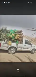 تخيل للبيع 7