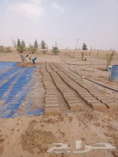 مقاول اعمال 5