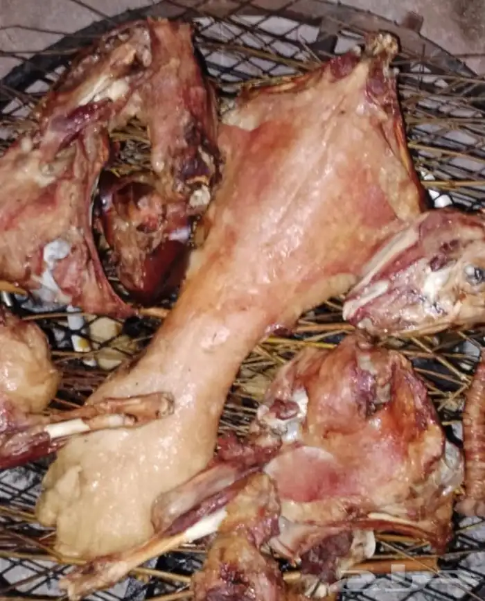 طليان وتيوس مع الطبخ او السلخ والتوصيل حنيذ بالمرخ ومندي 7