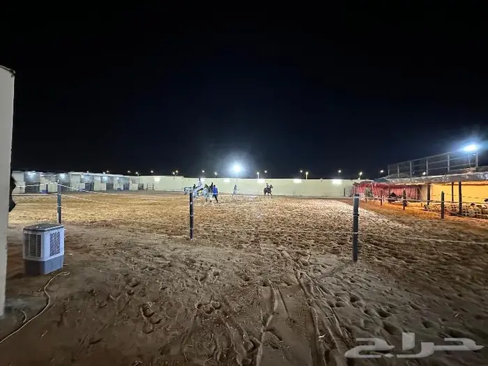 تدريب فروسية وفرسان اكاديمية بشهادات معتمده 4