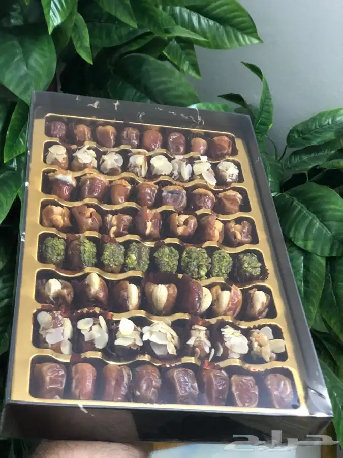 نخلات   تمور محشية 2