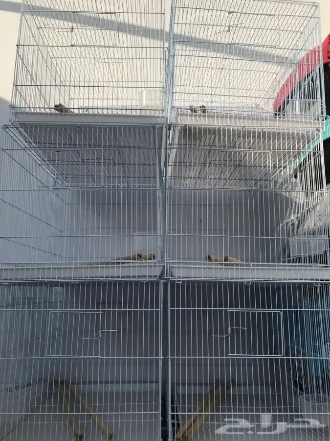 قفص 601 0