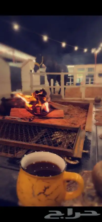 عيش تجربة ركوب الخيل واستمتع واكسر حاجز الخوف 5