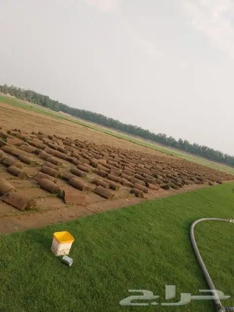 ثيل طبيعي c2000 4