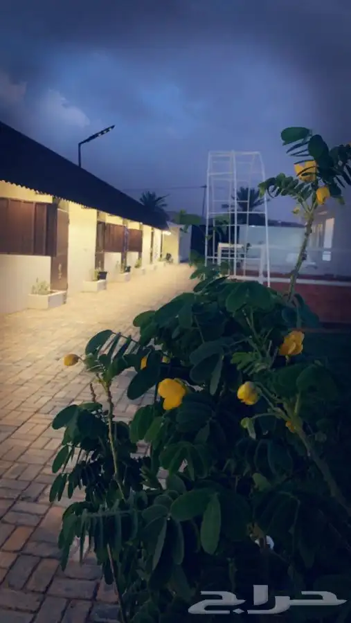 مربط ومنتجع اصالة نجد ( ديراب ) 0