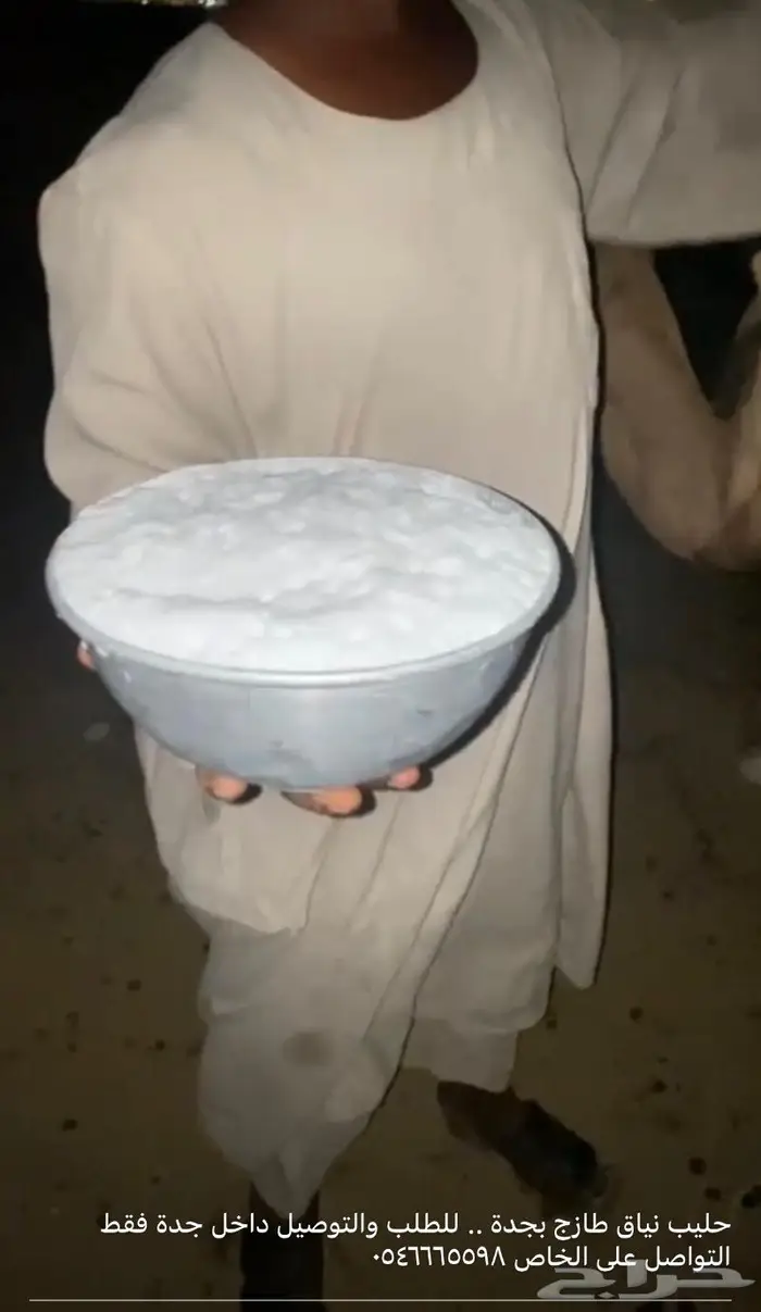 حليب ابل خلفات نياق طازج يوميا بجدة ويوجد خدمة توصيل 5