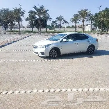 مدرب قيادة 0