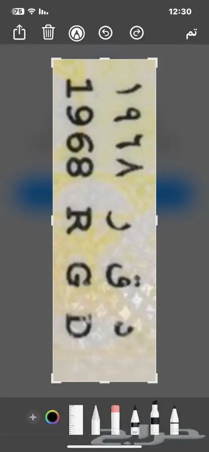 لوحات للبيع 1