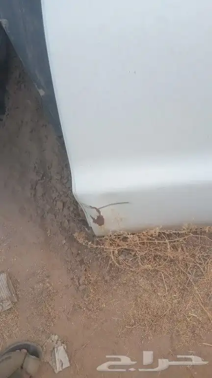 باب اسكويا و كبوت وشبك 9