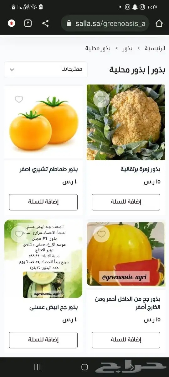 بذور زراعية محلية منوعة 0