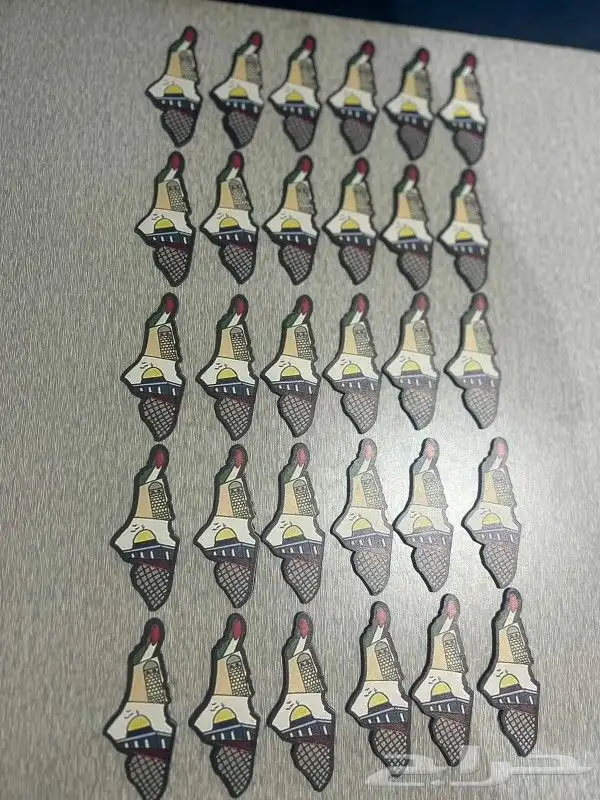 بروشات فلسطين 1