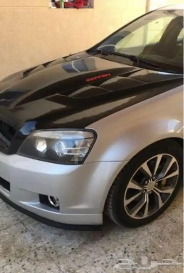 كبوت قفاري 3